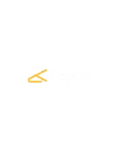 CAPCUT TOOL EXPERT BUSINESS ANALYST IN DUBAI