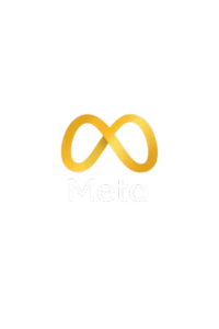 META CERTIFIED BUSINESS ANALYST IN DUBAI