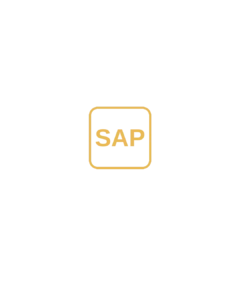 SAP CERTIFIED BEST BUSINESS ANALYST IN DUBAI